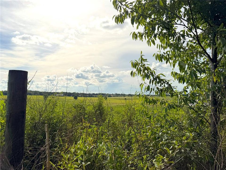 待售: $234,900 (10.20 acres)