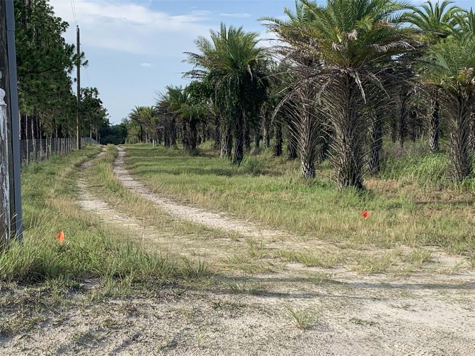 待售: $299,000 (3.92 acres)