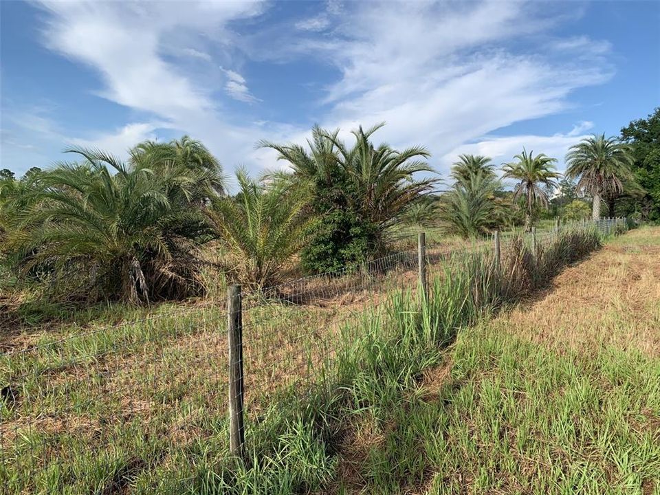 待售: $299,000 (3.92 acres)