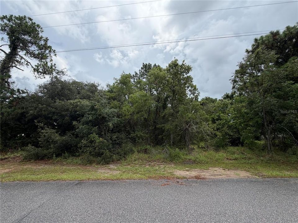 合同活跃: $130,000 (1.01 acres)