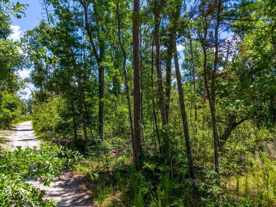 En Venta: $75,000 (7.54 acres)