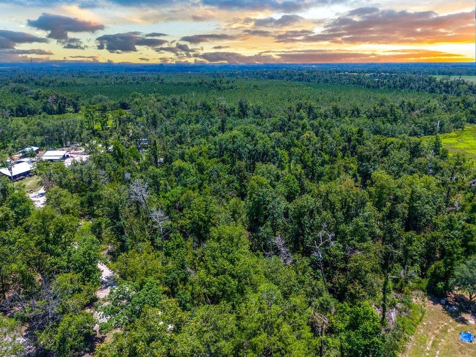 En Venta: $75,000 (7.54 acres)