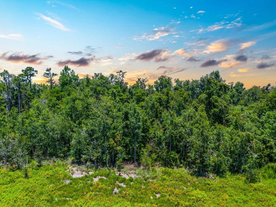 En Venta: $75,000 (7.54 acres)