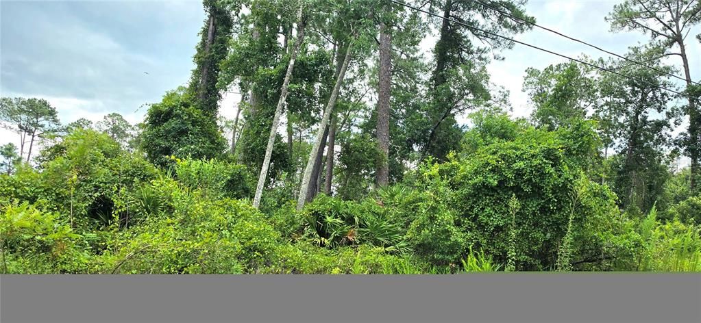 En Venta: $38,500 (0.26 acres)