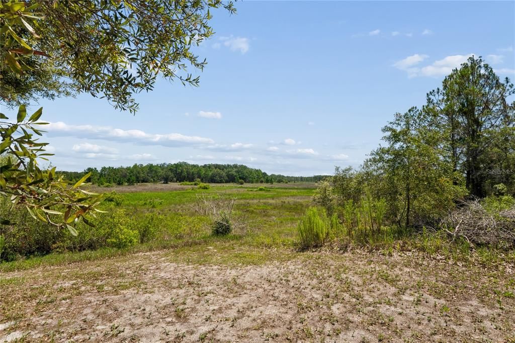 For Sale: $459,000 (4 beds, 3 baths, 2498 Square Feet)