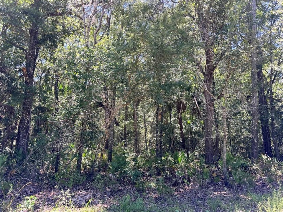 На продажу: $89,900 (2.03 acres)
