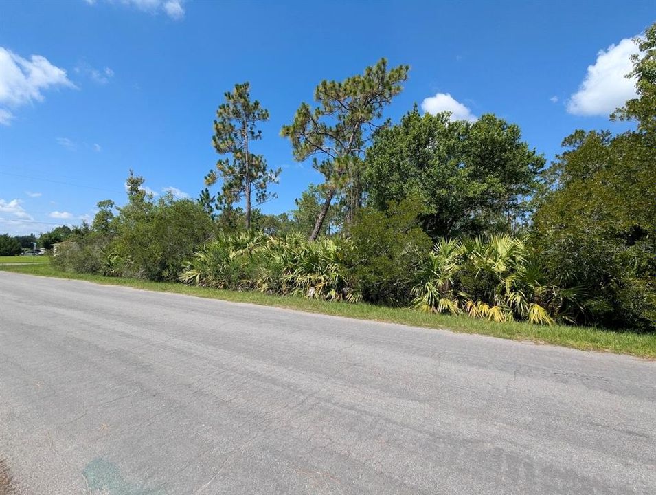 Activo con contrato: $139,900 (1.03 acres)