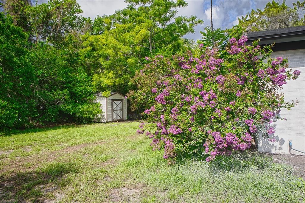 For Sale: $317,000 (3 beds, 2 baths, 1300 Square Feet)