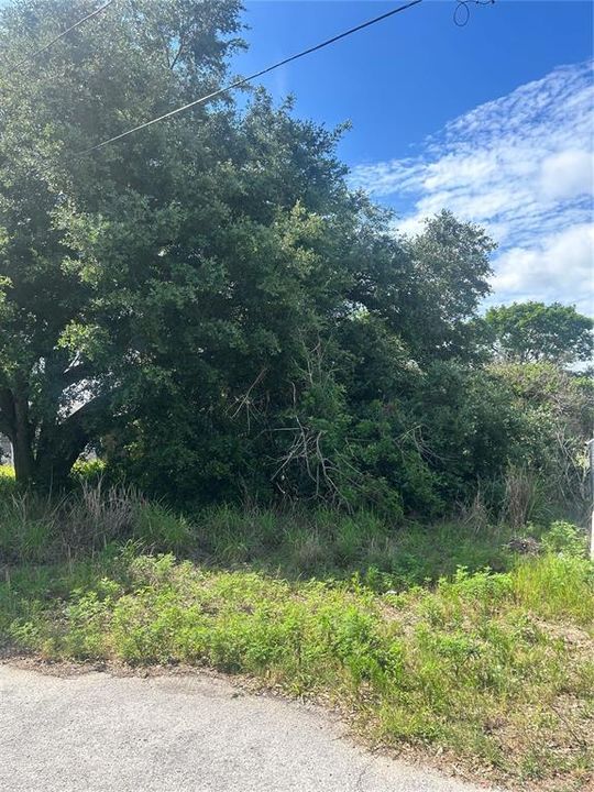 For Sale: $30,000 (0.17 acres)