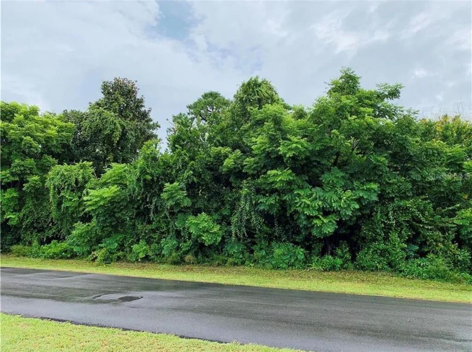 En Venta: $70,900 (0.23 acres)