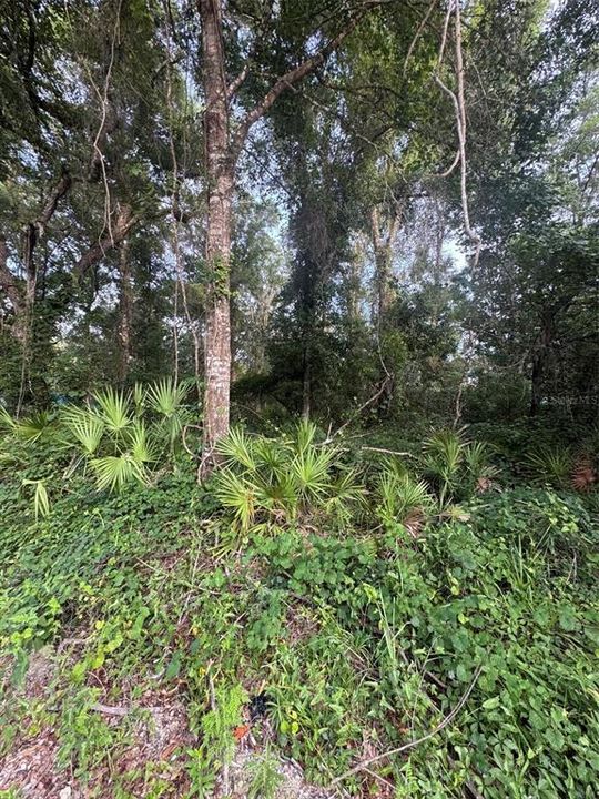 For Sale: $9,995 (0.12 acres)