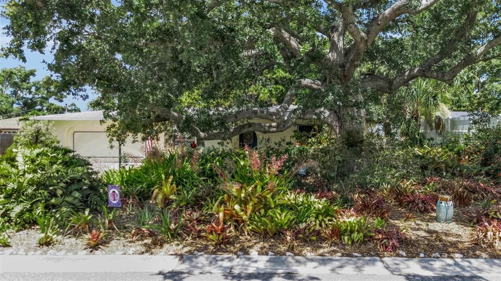 For Sale: $447,000 (3 beds, 2 baths, 1706 Square Feet)