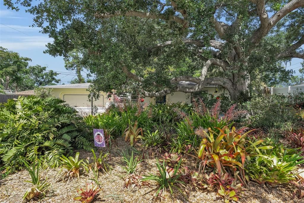 For Sale: $447,000 (3 beds, 2 baths, 1706 Square Feet)
