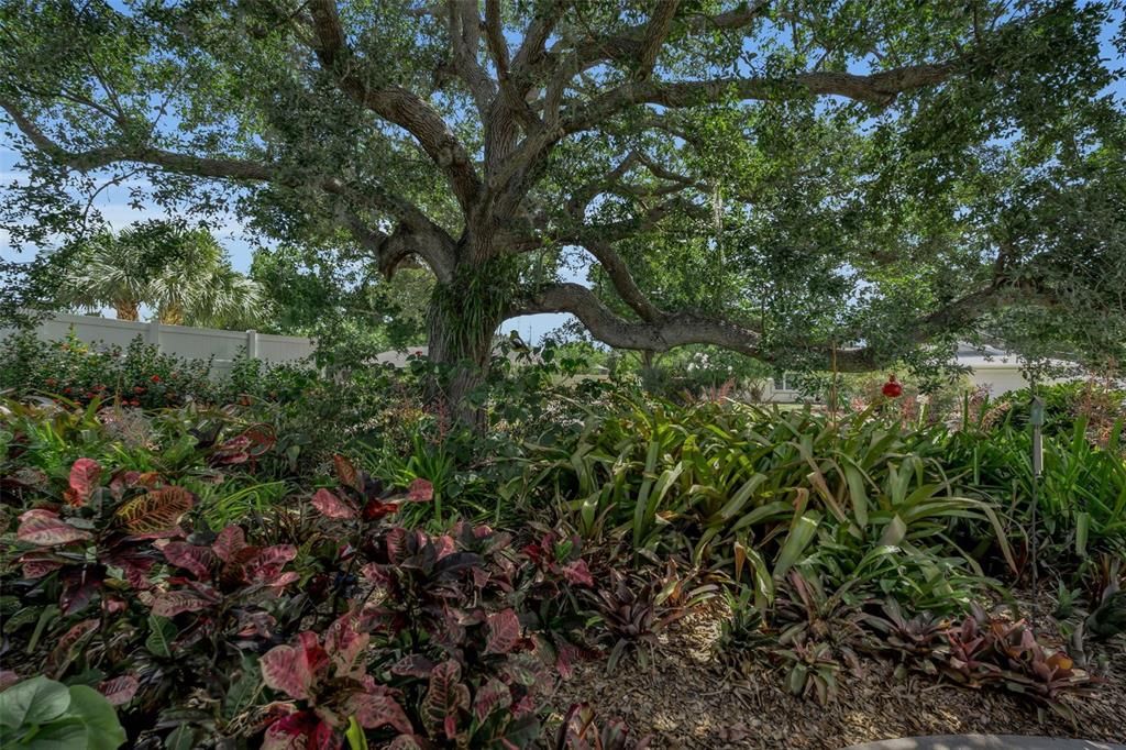 For Sale: $447,000 (3 beds, 2 baths, 1706 Square Feet)