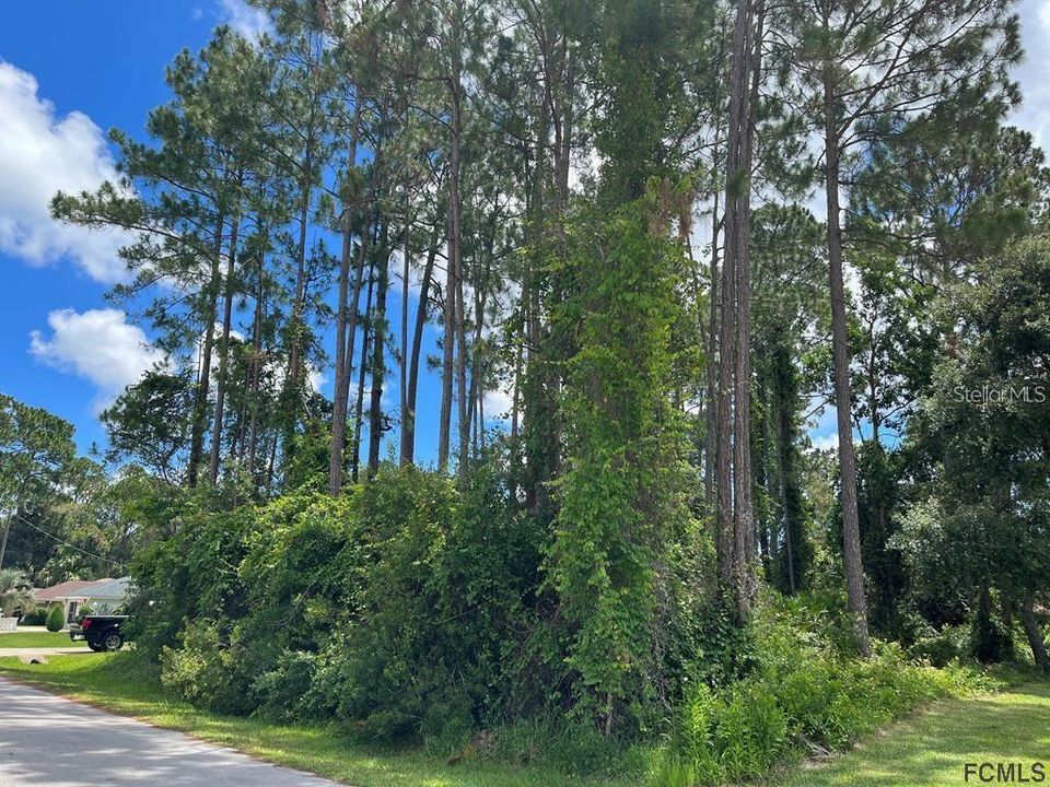 待售: $85,000 (0.23 acres)