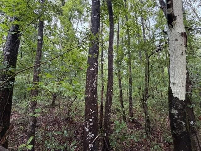 En Venta: $70,000 (5.00 acres)