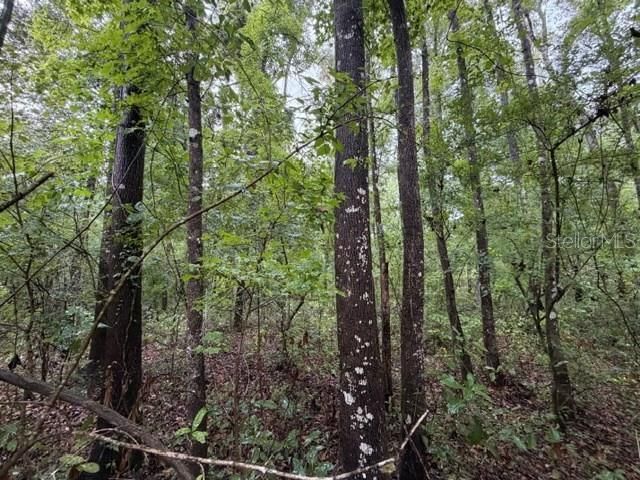 En Venta: $70,000 (5.00 acres)