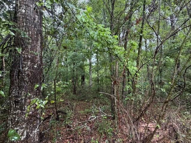 En Venta: $70,000 (5.00 acres)