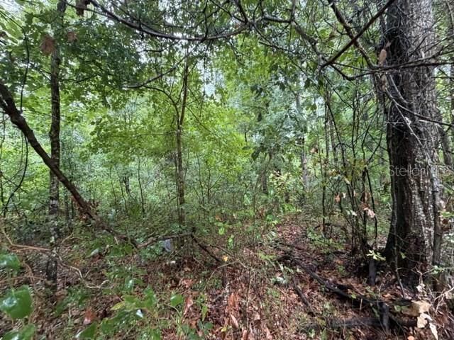 En Venta: $70,000 (5.00 acres)