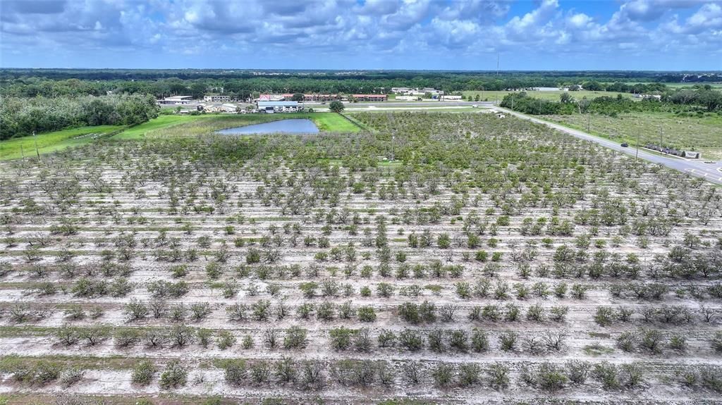 For Sale: $1,850,000 (35.62 acres)