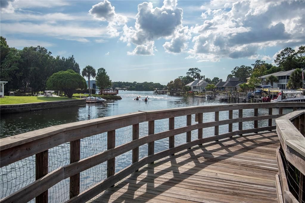 For Sale: $49,900 (0.96 acres)