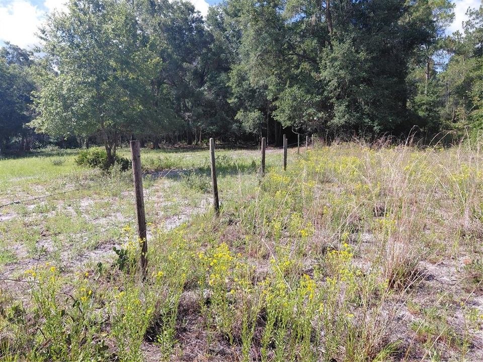 En Venta: $49,000 (1.19 acres)