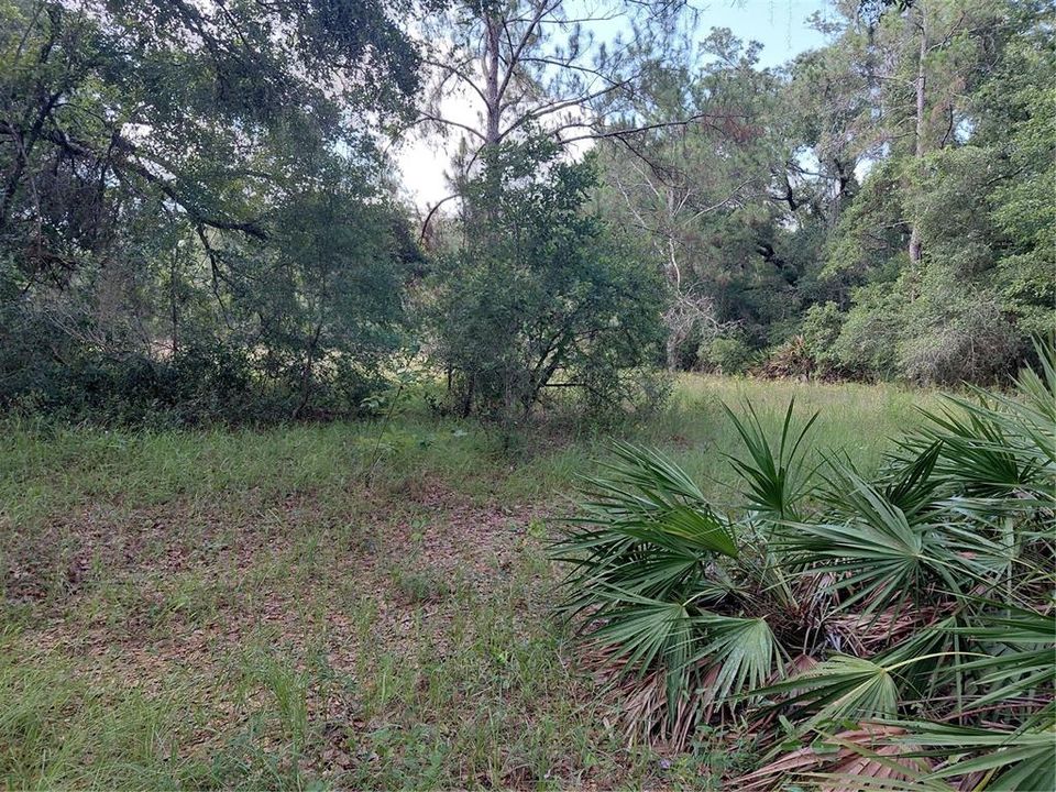 En Venta: $49,000 (1.19 acres)