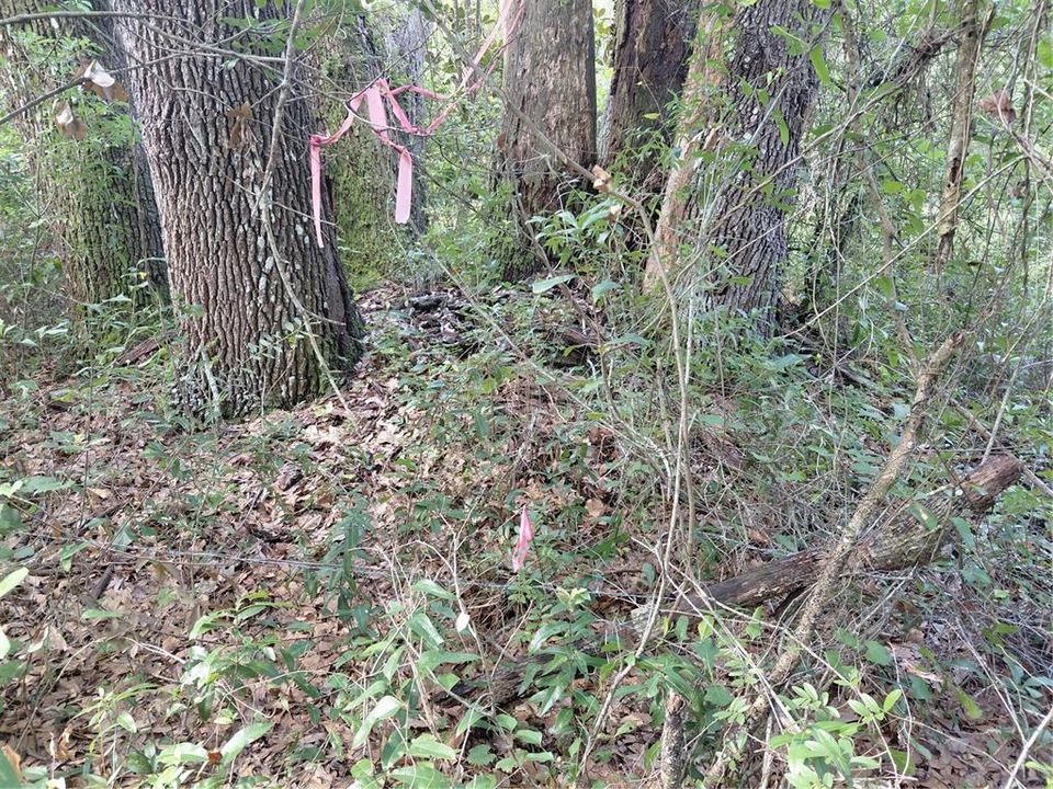 En Venta: $49,000 (1.19 acres)