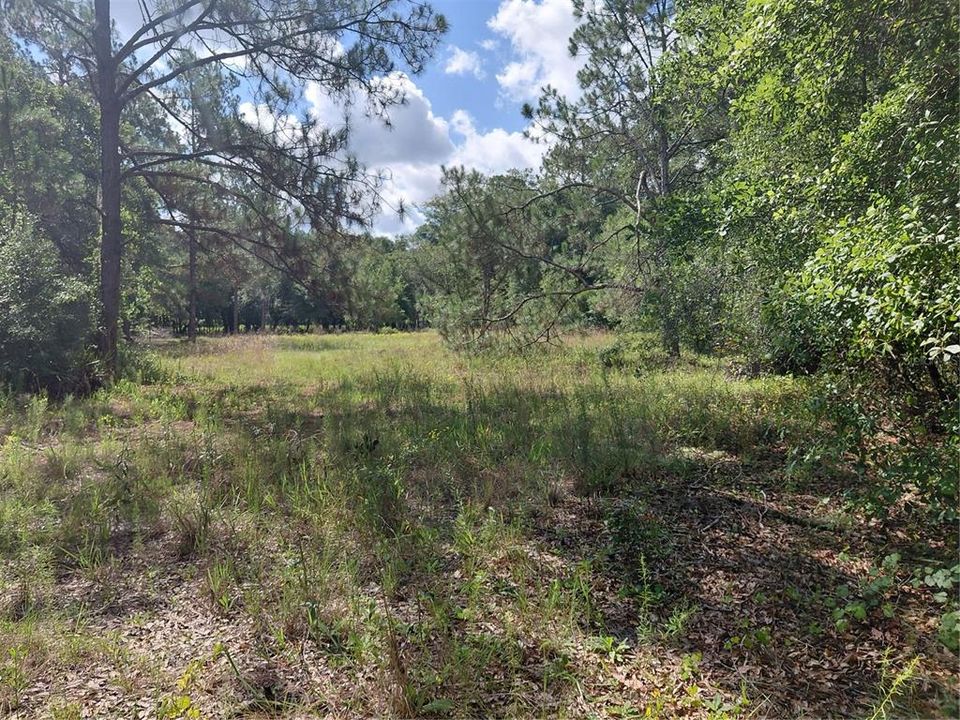 En Venta: $49,000 (1.19 acres)