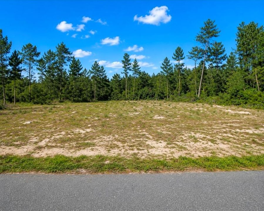 For Sale: $51,900 (0.31 acres)
