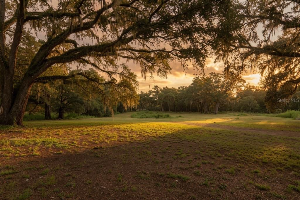 En Venta: $239,999 (3.60 acres)