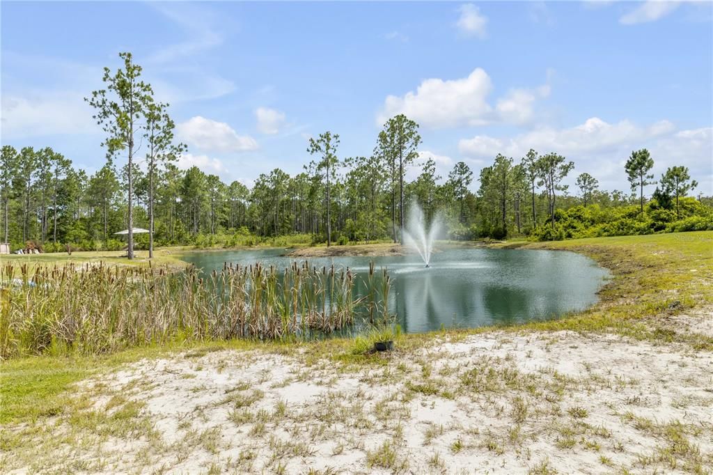 For Sale: $1,300,000 (4 beds, 3 baths, 2017 Square Feet)