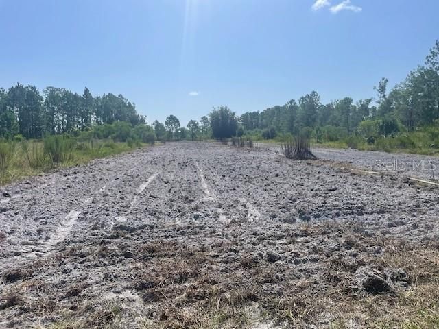На продажу: $245,000 (25.00 acres)