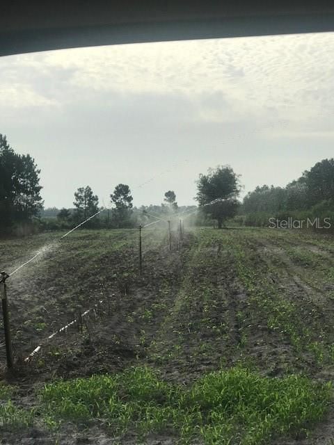 На продажу: $245,000 (25.00 acres)