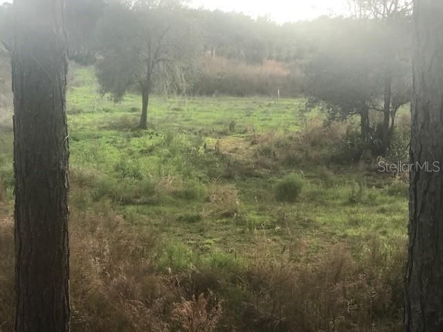 На продажу: $245,000 (25.00 acres)