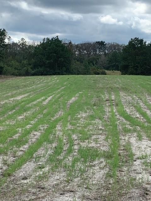 На продажу: $245,000 (25.00 acres)