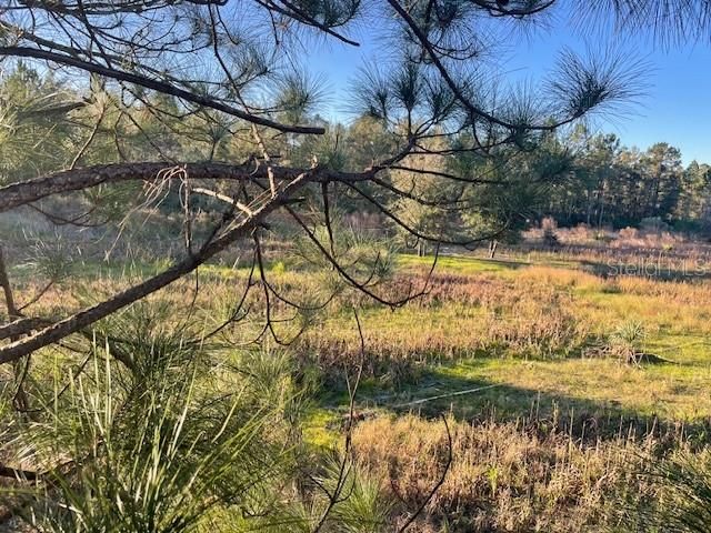 На продажу: $245,000 (25.00 acres)