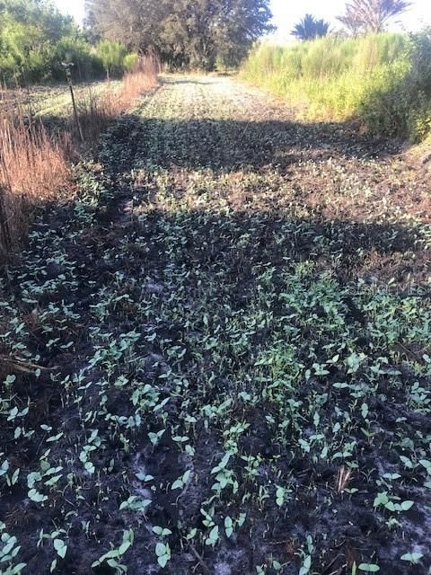 На продажу: $245,000 (25.00 acres)