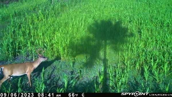 На продажу: $245,000 (25.00 acres)