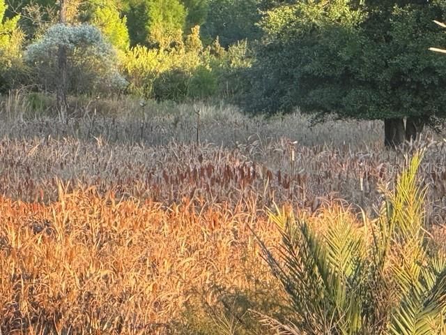 На продажу: $245,000 (25.00 acres)