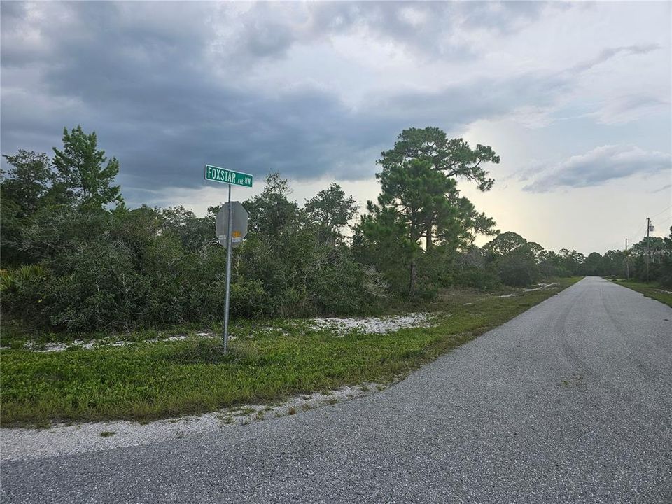 For Sale: $19,900 (0.29 acres)