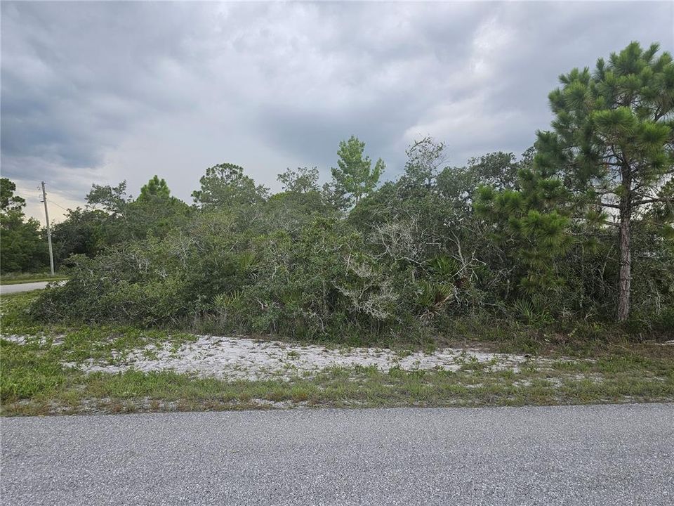 For Sale: $19,900 (0.29 acres)