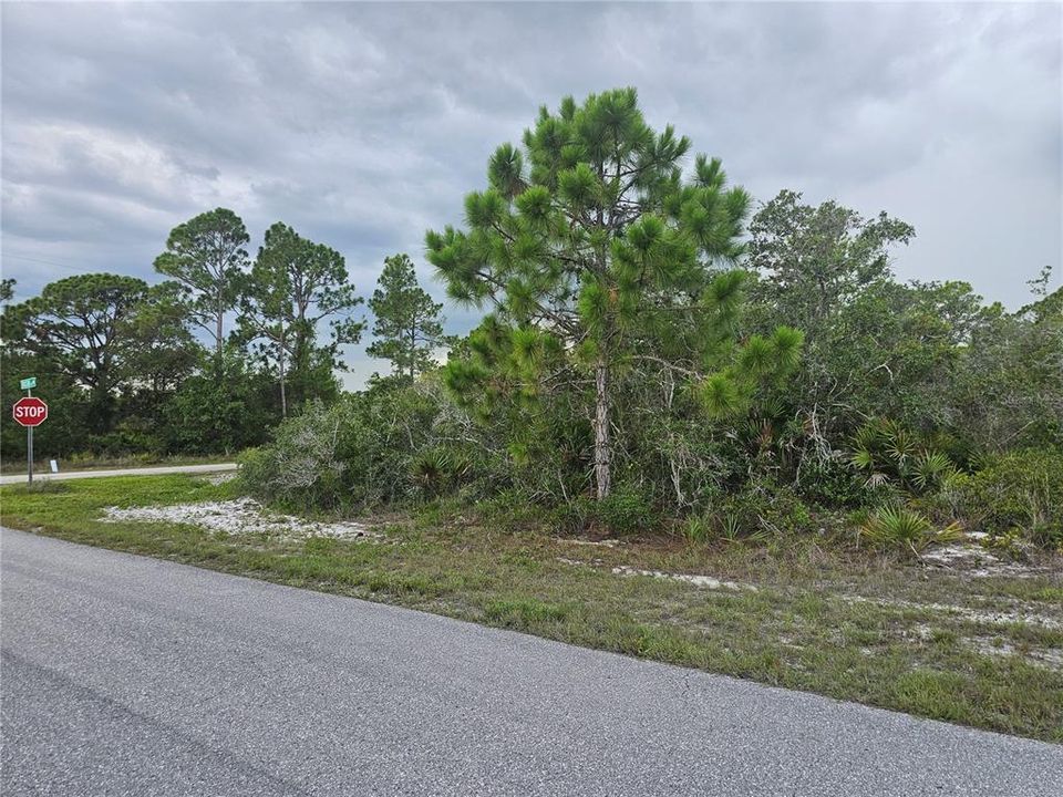 For Sale: $19,900 (0.29 acres)