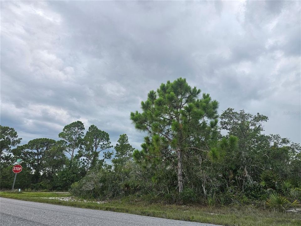 For Sale: $19,900 (0.29 acres)