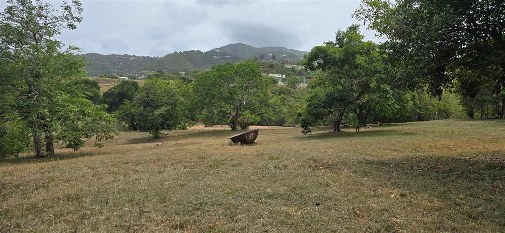 На продажу: $160,000 (1.75 acres)