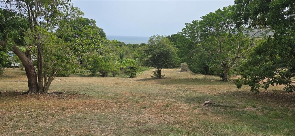 На продажу: $160,000 (1.75 acres)