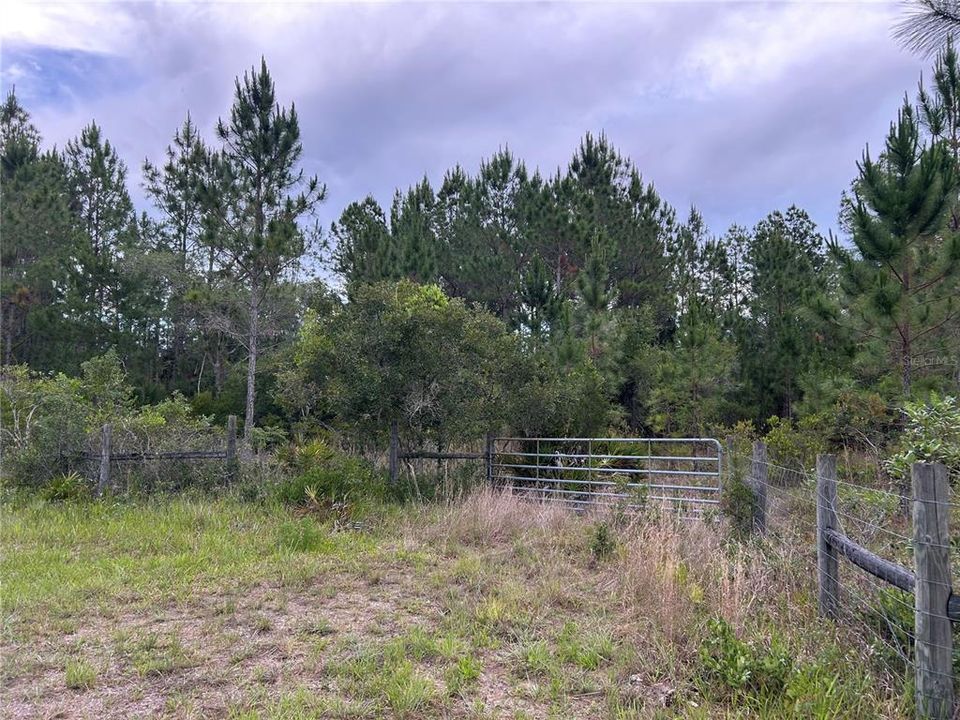 For Sale: $175,000 (10.46 acres)