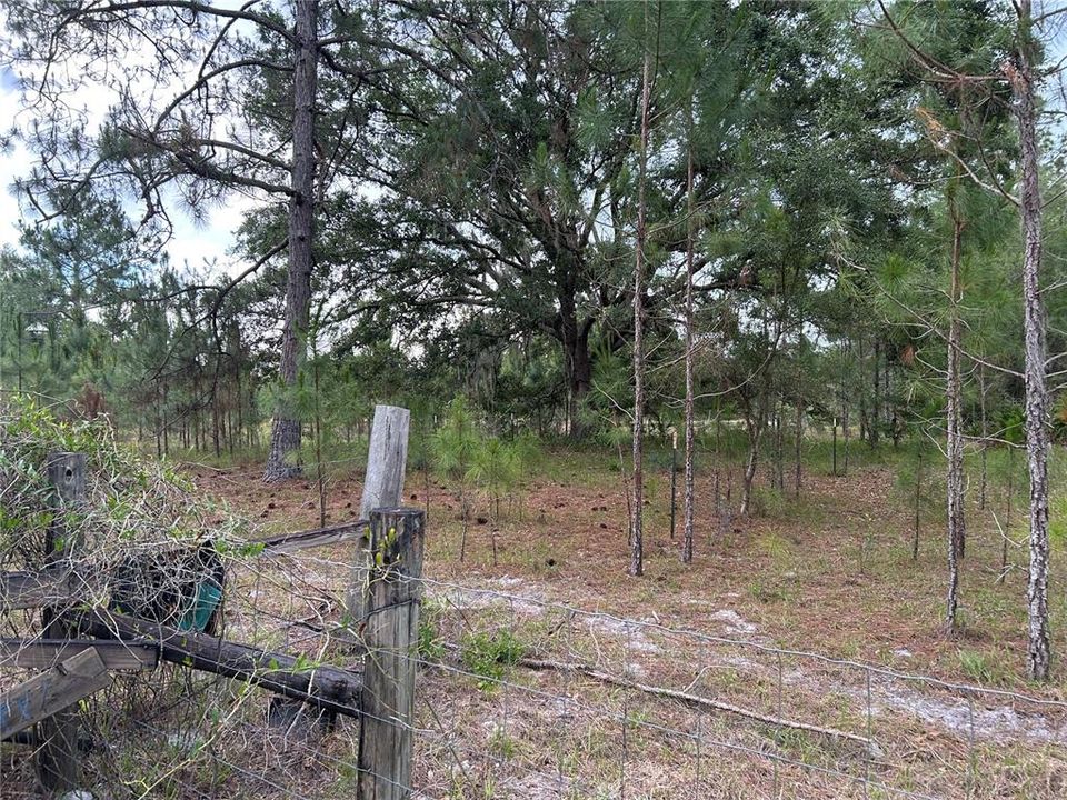 For Sale: $175,000 (10.46 acres)