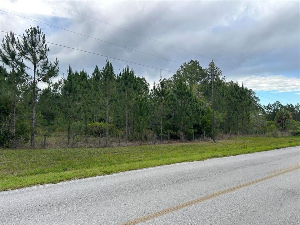 For Sale: $175,000 (10.46 acres)
