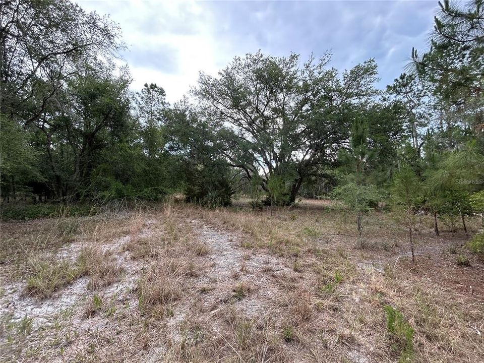 For Sale: $175,000 (10.46 acres)